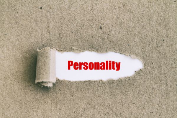 What is a Sober Personality?