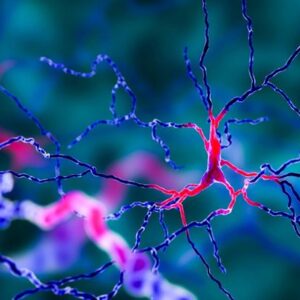 4 Reasons Why Opioids Are Addictive